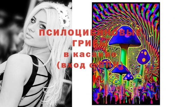 хмурый Армянск