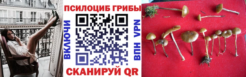 Псилоцибиновые грибы мухоморы  MEGA ССЫЛКА  Очёр 